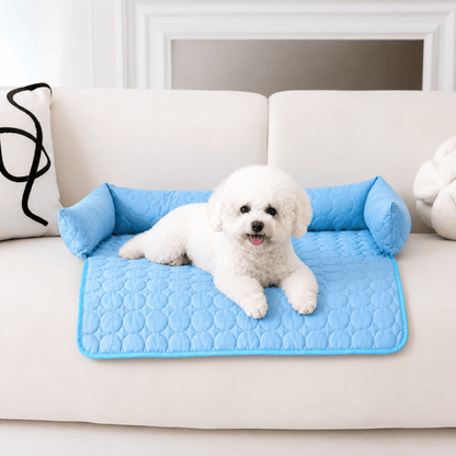 White curly coated dog lying on the blue Noblias cooling dog couch cover fitted onto a white sofa.