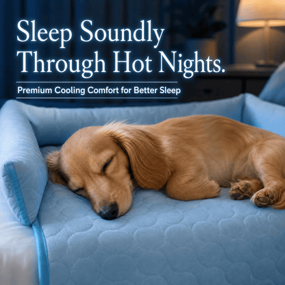 Dachshund asleep on the blue Noblias cooling dog couch cover in a dim room at night, stretched out against the bolster back.