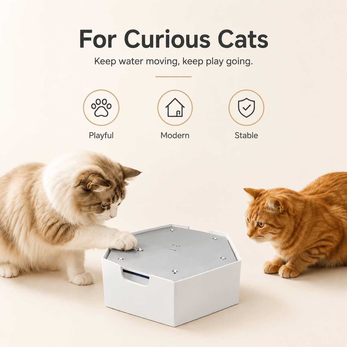 Two cats investigating the white hexagonal Noblias cordless cat water fountain on a rug