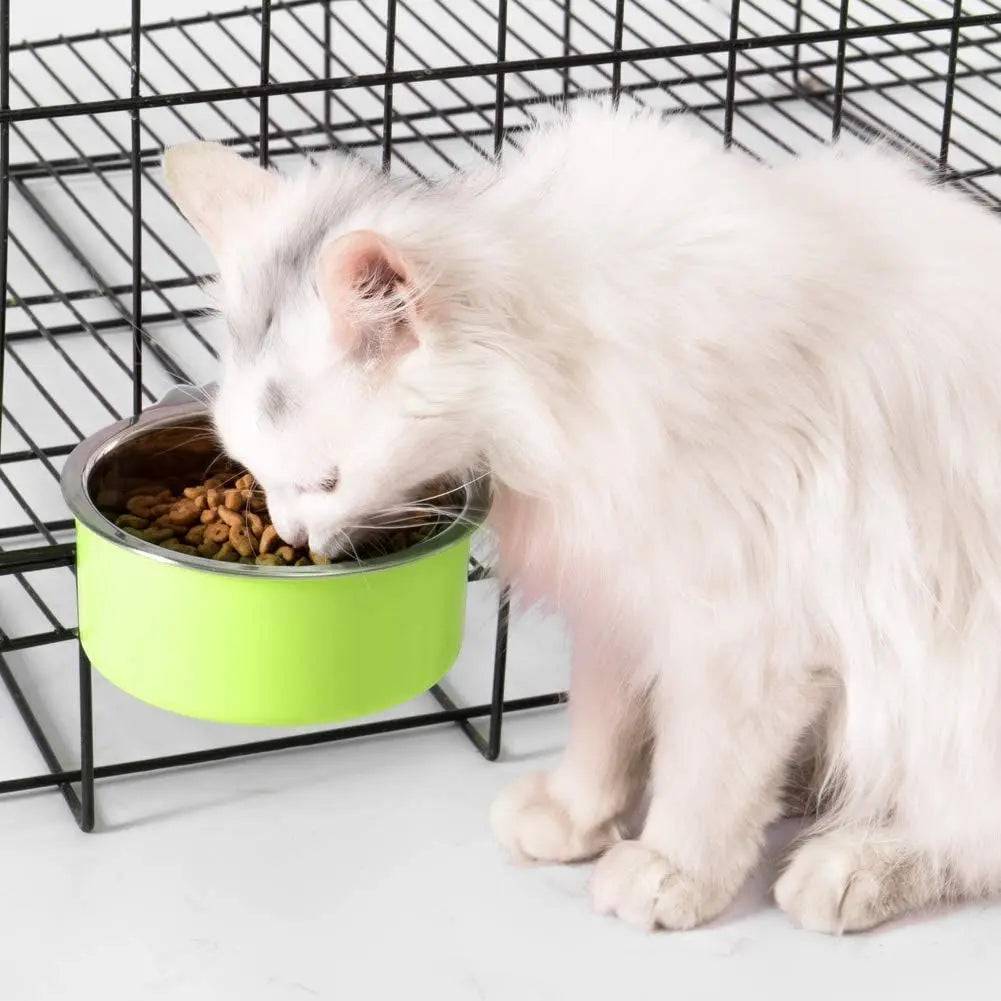 White long-haired cat eating dry food from the green crate bowl fixed to a black wire cage