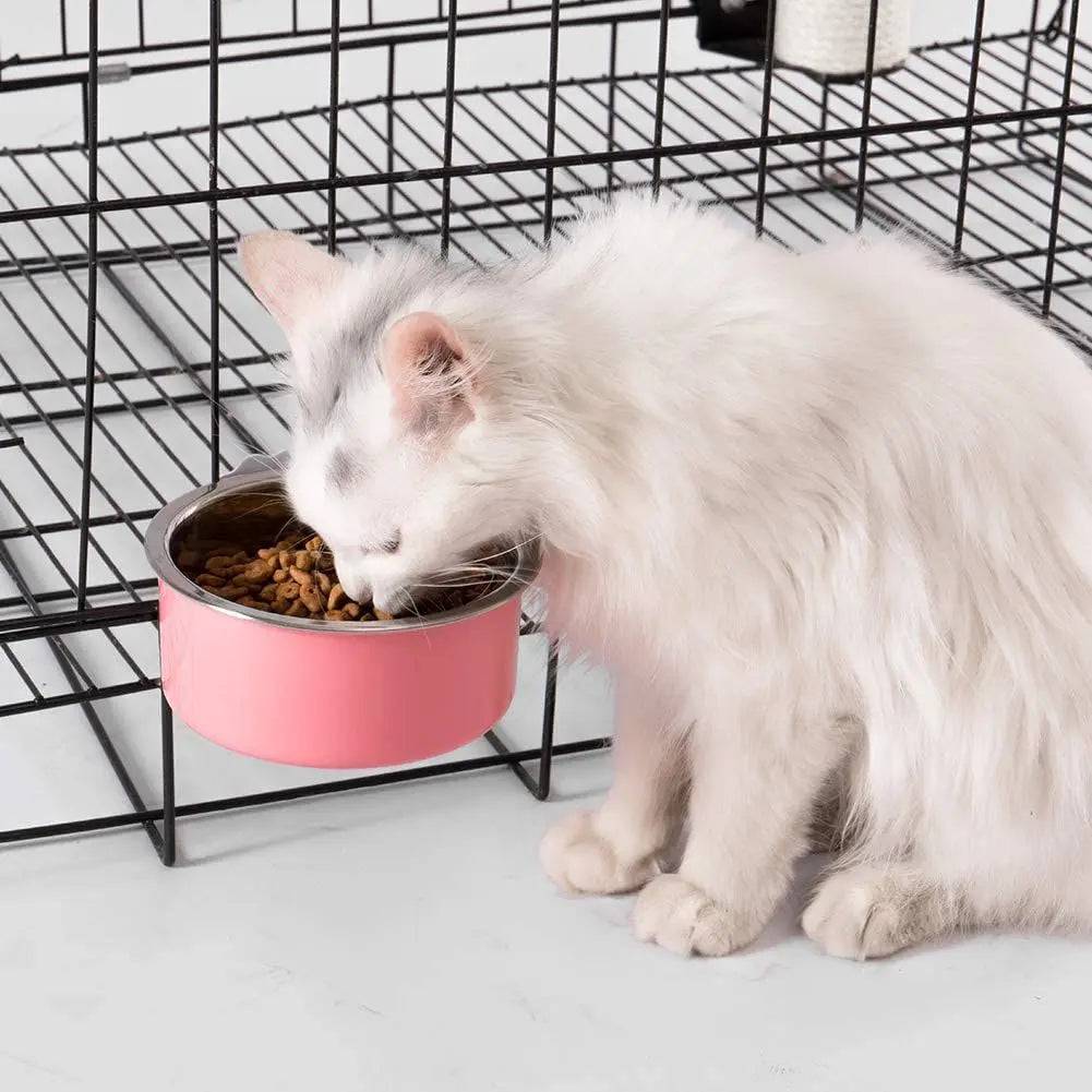 White long-haired cat eating dry food from the pink crate bowl clamped to a black wire cage