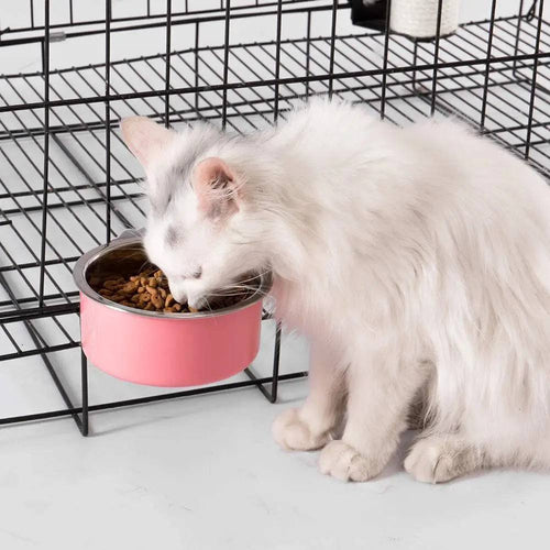 White long-haired cat eating dry food from the pink crate bowl clamped to a black wire cage