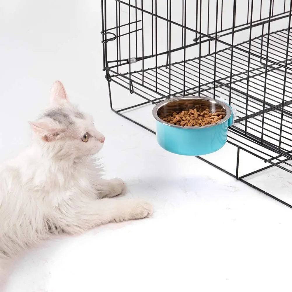 White kitten sitting beside the blue crate bowl full of dry food, mounted on the wire of a black cage