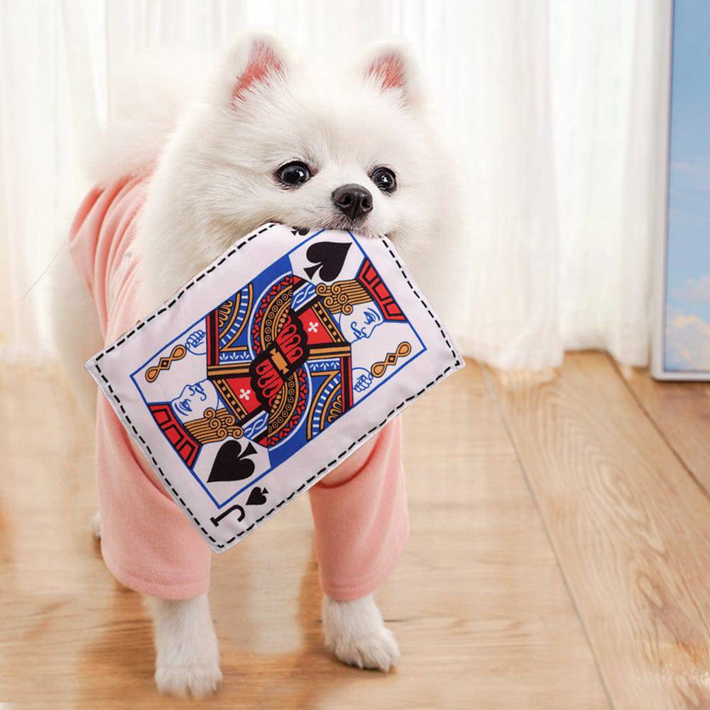 Noblias crinkle newspaper dog toy with paper texture and bright colors, designed for playful, noisy fun for dogs.
