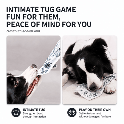 Noblias crinkle newspaper dog toy with textured crinkly paper surface for interactive play and chewing.