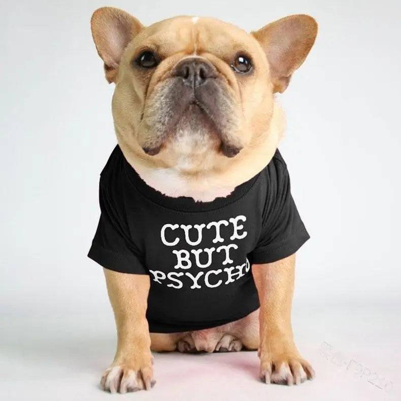 French Bulldog sitting in a black dog shirt printed with the slogan Cute But Psycho