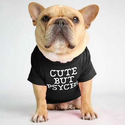 French Bulldog sitting in a black dog shirt printed with the slogan Cute But Psycho