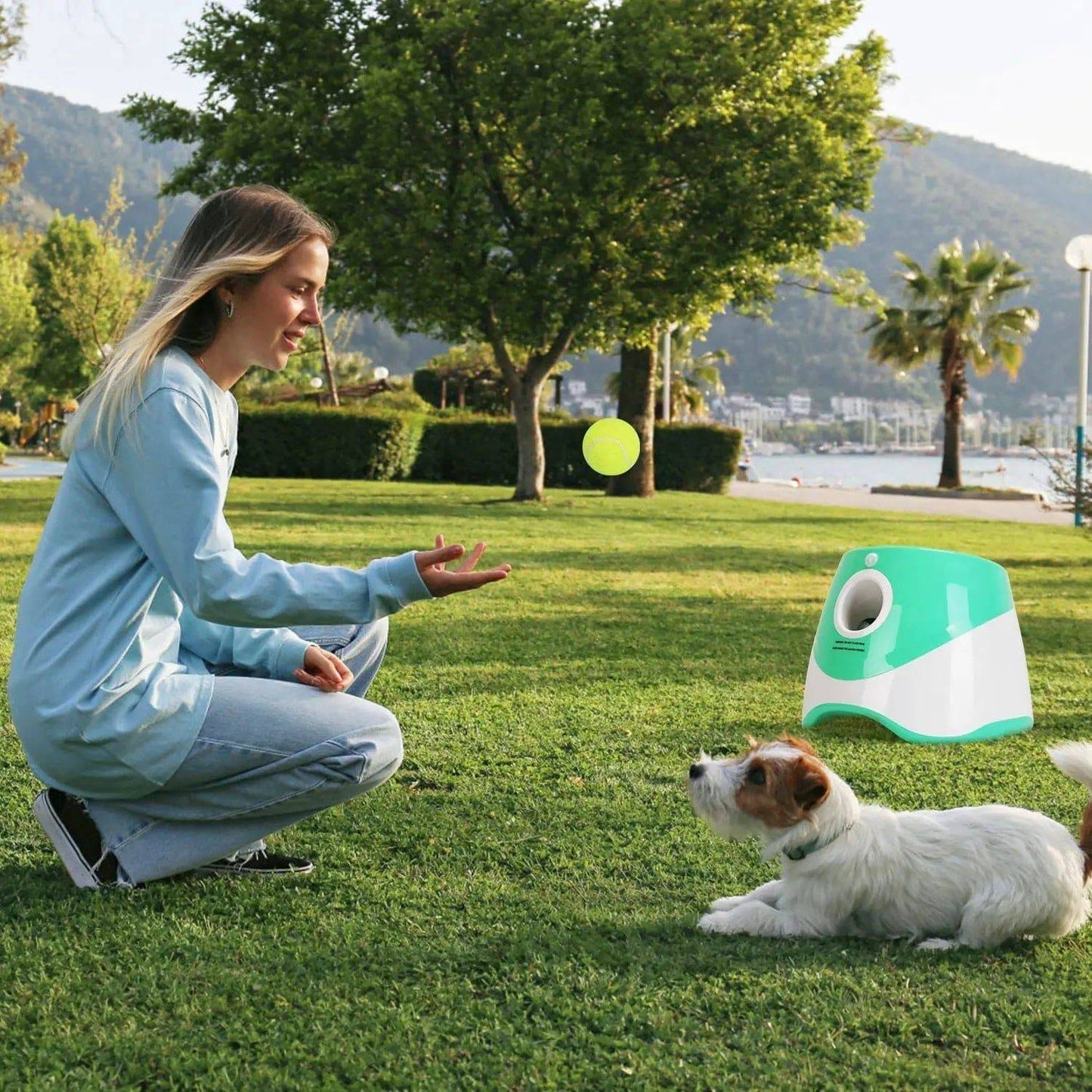 Noblias automatic dog ball launcher with adjustable distance, showing a handheld device and a dog ready to fetch the ball.