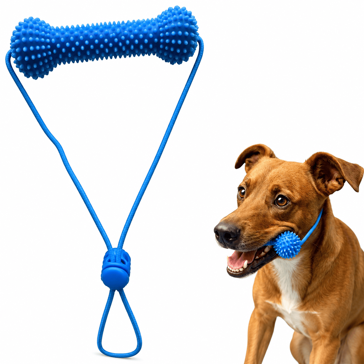 Noblias dog dental chew toy designed to help clean teeth and promote easier teeth brushing for dogs.