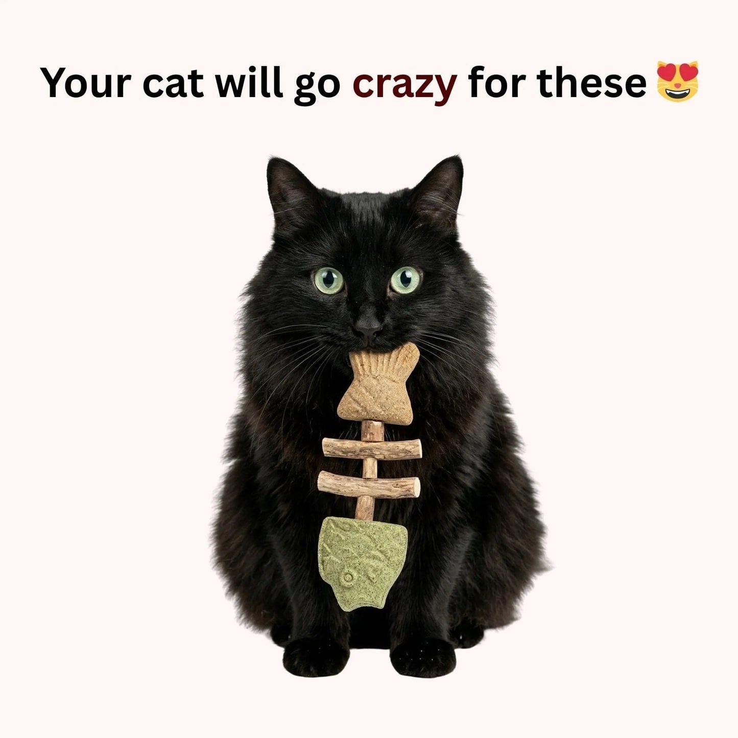 Noblias Fish Bone Cat Dental Chew Toy featuring a fish-shaped design for cats' dental health and playful chewing.