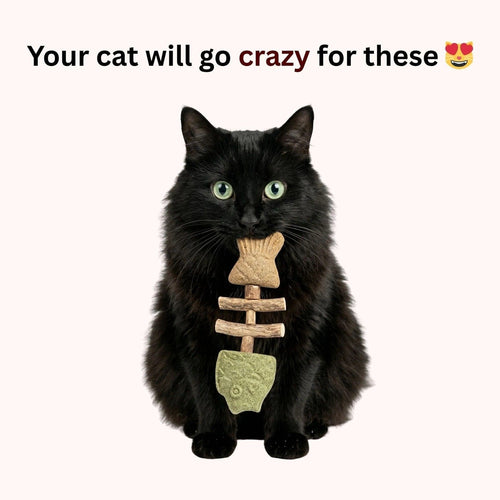 Noblias Fish Bone Cat Dental Chew Toy featuring a fish-shaped design for cats' dental health and playful chewing.
