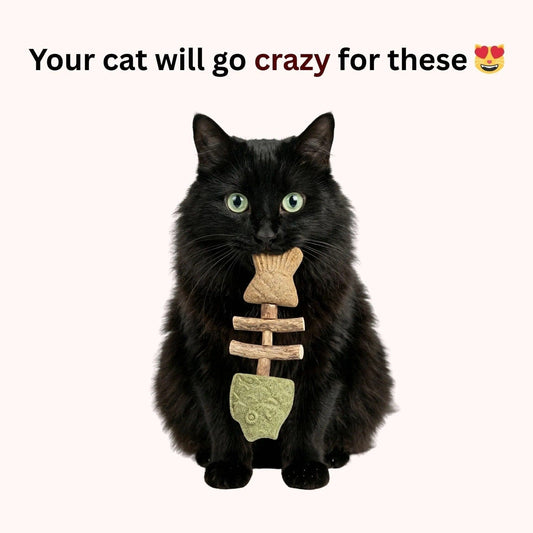 Noblias Fish Bone Cat Dental Chew Toy featuring a fish-shaped design for cats' dental health and playful chewing.