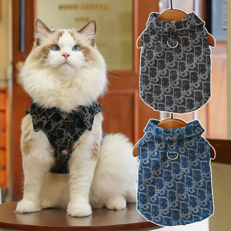 A long haired cat wearing the black vest photographed from the front.