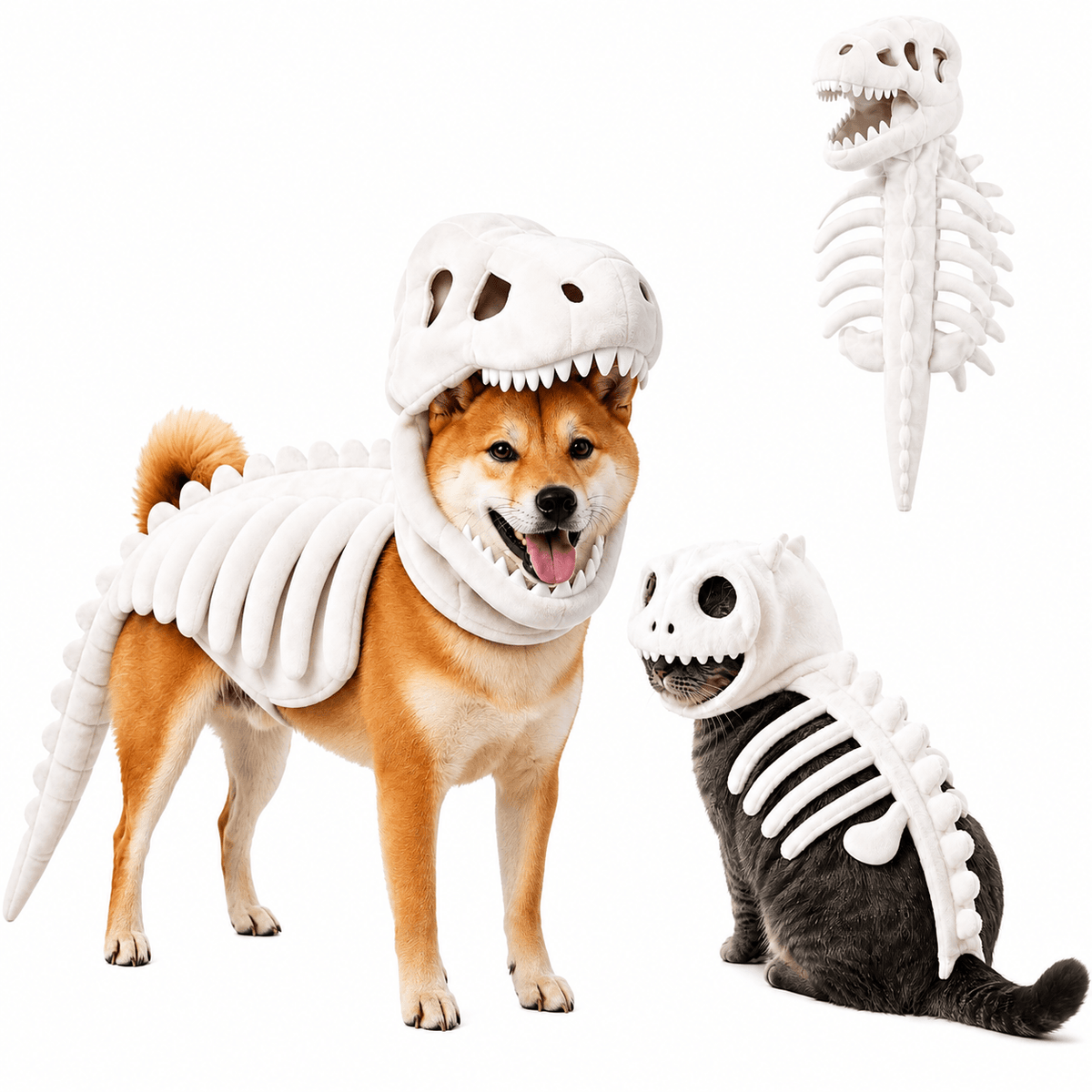 Shiba inu wearing the white Noblias dinosaur skeleton Halloween costume with the full skeleton and tail laid out beside it.