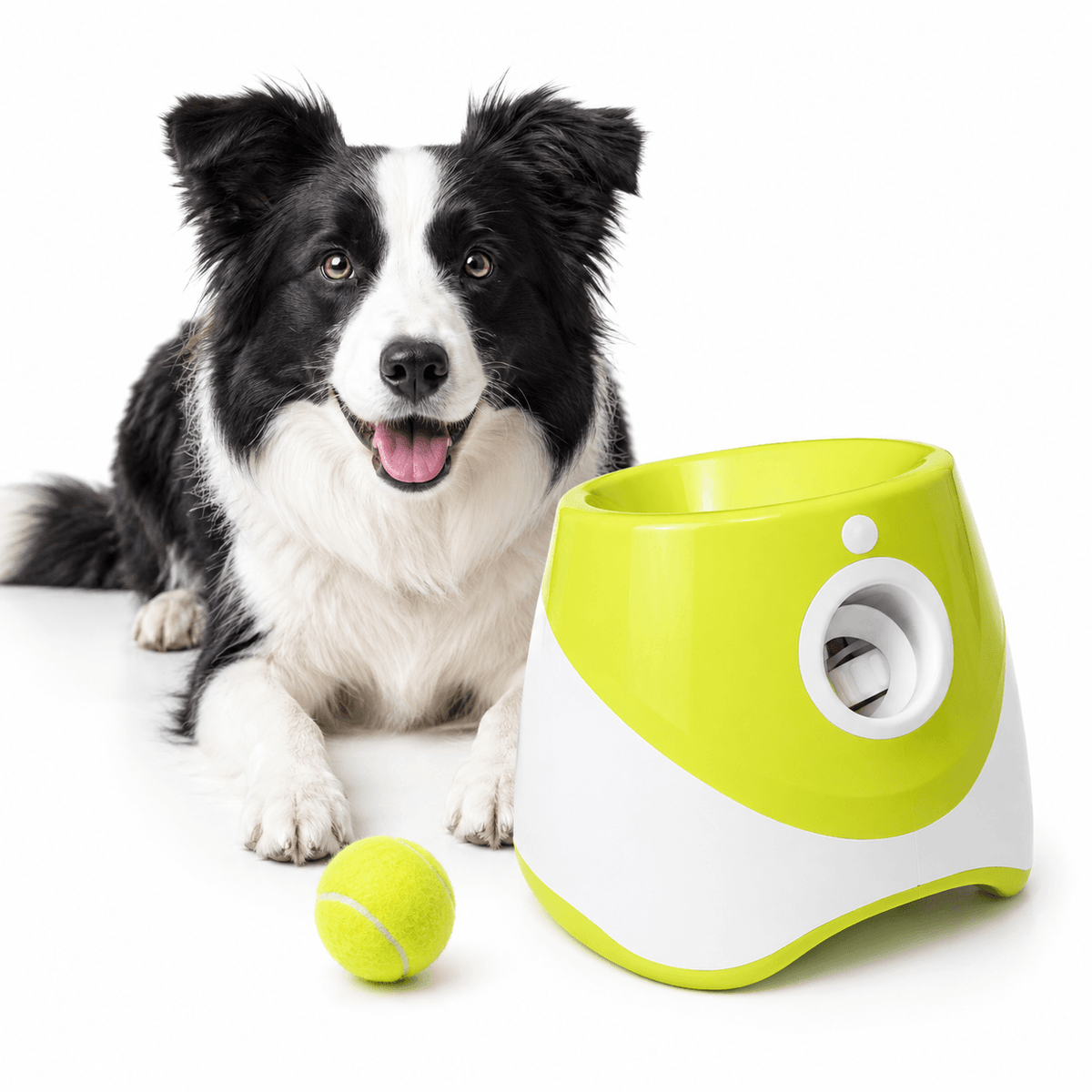 Border collie lying next to the green and white ball launcher with a tennis ball on the floor