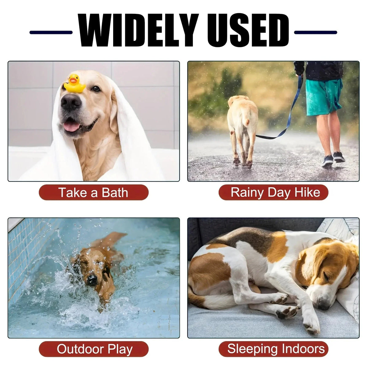 Four ways the Noblias dog bathrobe is used: after a bath, on a rainy day hike, after outdoor pool play and while sleeping indoors.