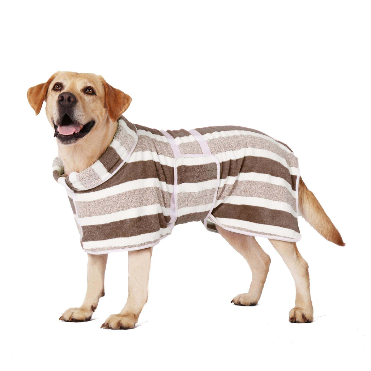 Golden retriever wearing the fawn brown striped Noblias quick dry dog bathrobe, shown from the side against a white background.