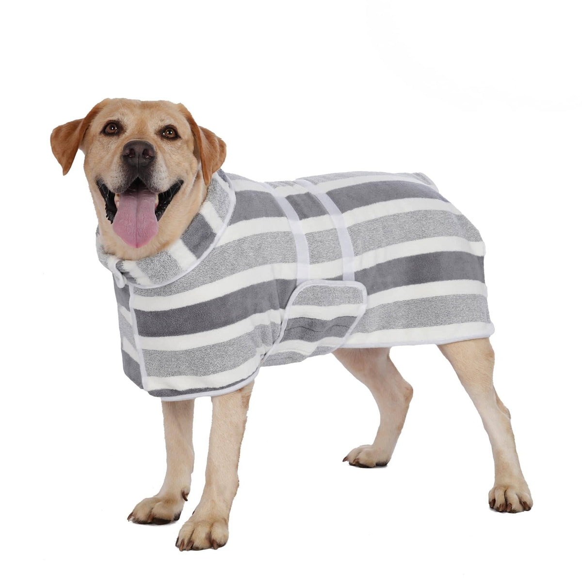 Golden retriever wearing the gray striped Noblias quick dry dog bathrobe, shown from the side against a white background.