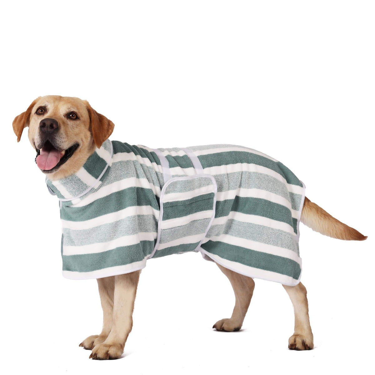 Golden retriever wearing the green striped Noblias quick dry dog bathrobe, shown from the side against a white background.