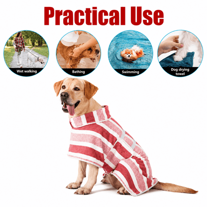 Golden retriever in the red striped Noblias dog bathrobe, with icons for wet walking, bathing, swimming and use as a drying towel.