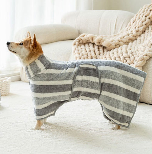 Shiba inu wearing the gray striped dog bathrobe towel beside a sofa.