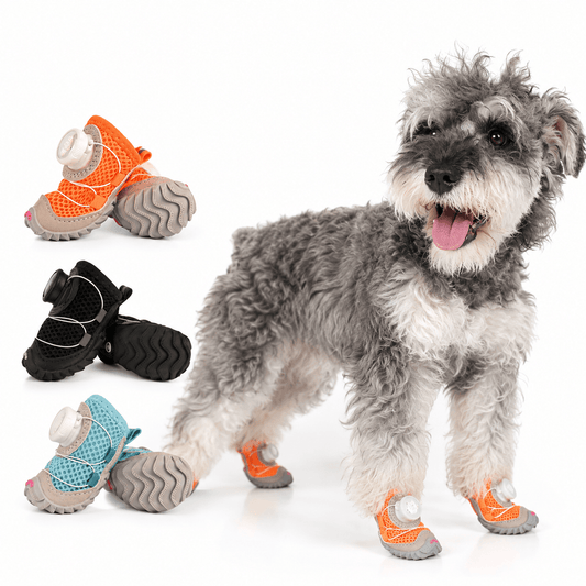 The Noblias dog boots shown as three sets in orange, black and blue beside a schnauzer wearing a pair.
