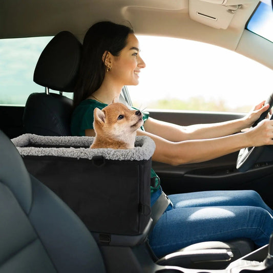 A small dog sitting in the Noblias car booster seat on the center console, level with the driver's shoulder.