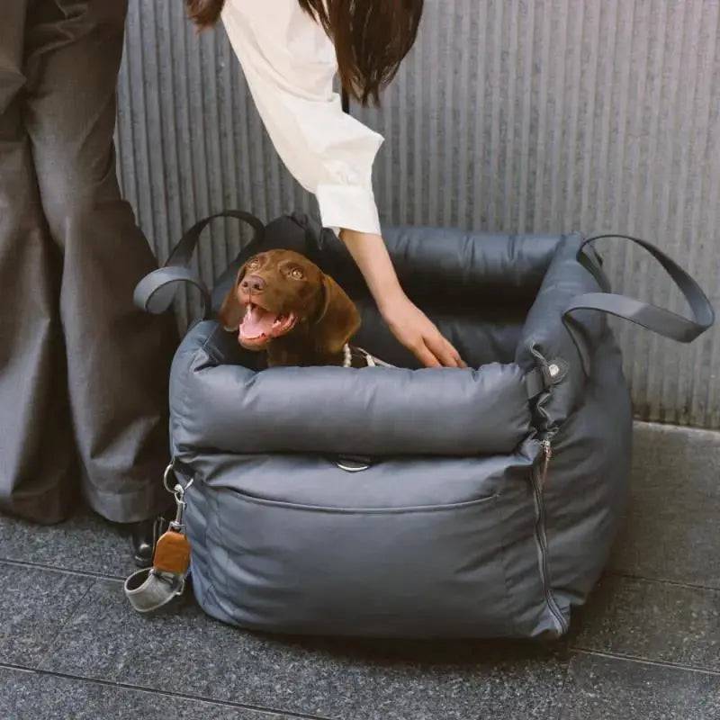 An owner lowering a dachshund into the gray Noblias dog car seat bed.
