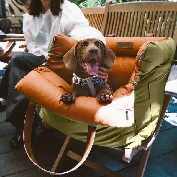 The orange Noblias dog car seat bed placed on a cafe chair with a dachshund resting in it.