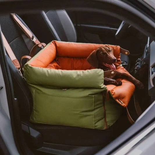 A dachshund settled in the orange Noblias dog car seat bed strapped onto a car seat.