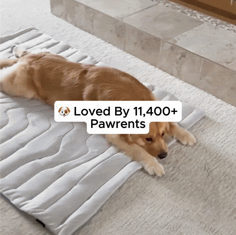 Animation of a dog lying down onto the Noblias cooling mat and settling on the cool surface.