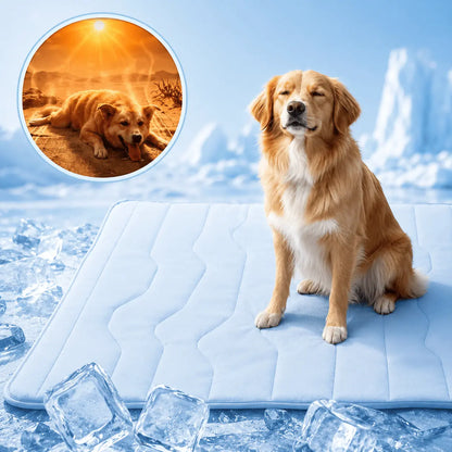 Golden retriever sitting on the blue Noblias self cooling dog mat surrounded by ice.