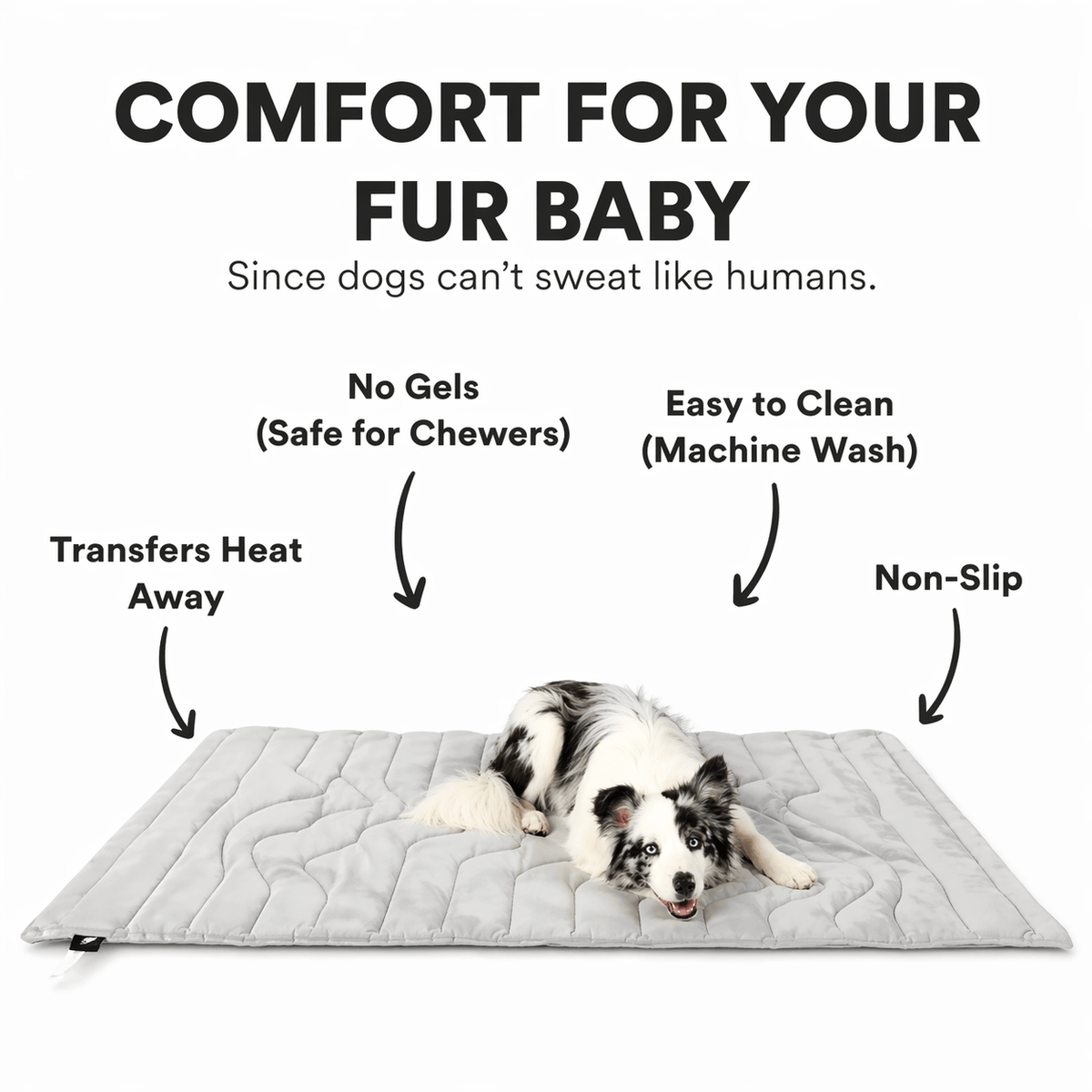 Border collie on the gray Noblias self cooling mat, labeled transfers heat away, no gels, machine washable and non-slip.