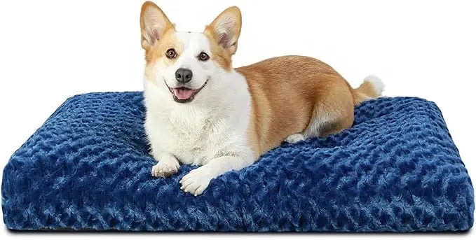 A corgi lying on the blue Noblias plush dog crate mat.