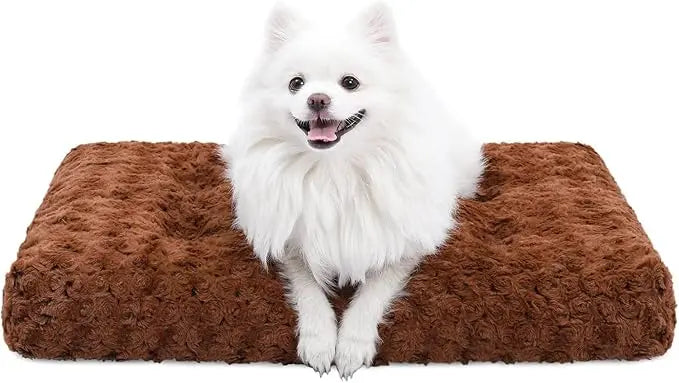 A white spitz sitting on the brown Noblias plush dog crate mat.
