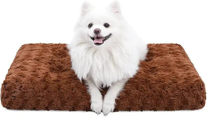 A white spitz sitting on the brown Noblias plush dog crate mat.