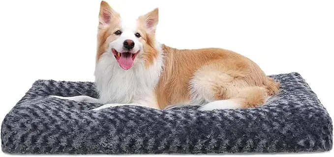 A corgi stretched out on the dark gray Noblias plush dog crate mat.