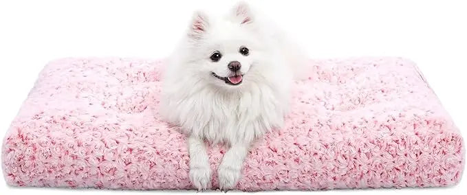 A small white spitz sitting on the pink Noblias plush dog crate mat.