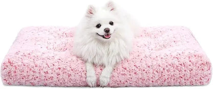 A small white spitz sitting on the pink Noblias plush dog crate mat.