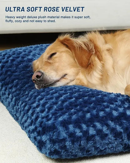 Close view of the heavy weight rose velvet plush surface on the navy Noblias dog crate mat, with a retriever resting its head on it.