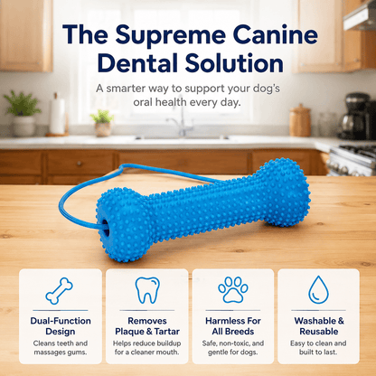 Noblias dog dental chew toy on a kitchen counter, with raised rubber nubs that help reduce plaque and tartar while massaging the gums.