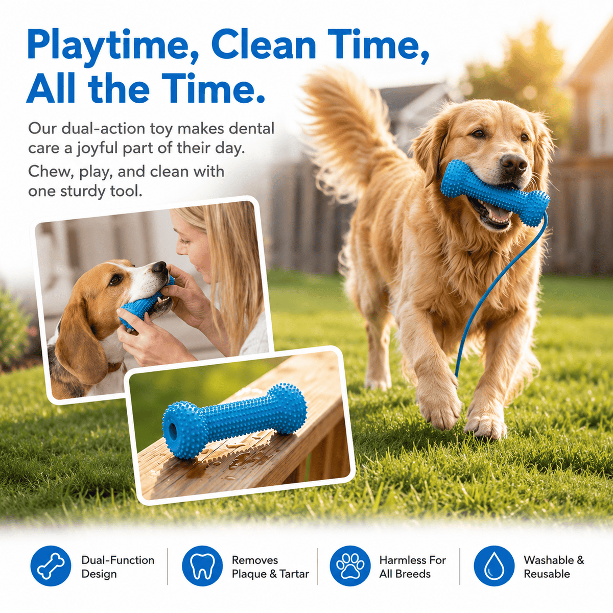 Golden retriever playing outdoors with the Noblias dog dental chew toy, showing the dual function design that cleans teeth during play.