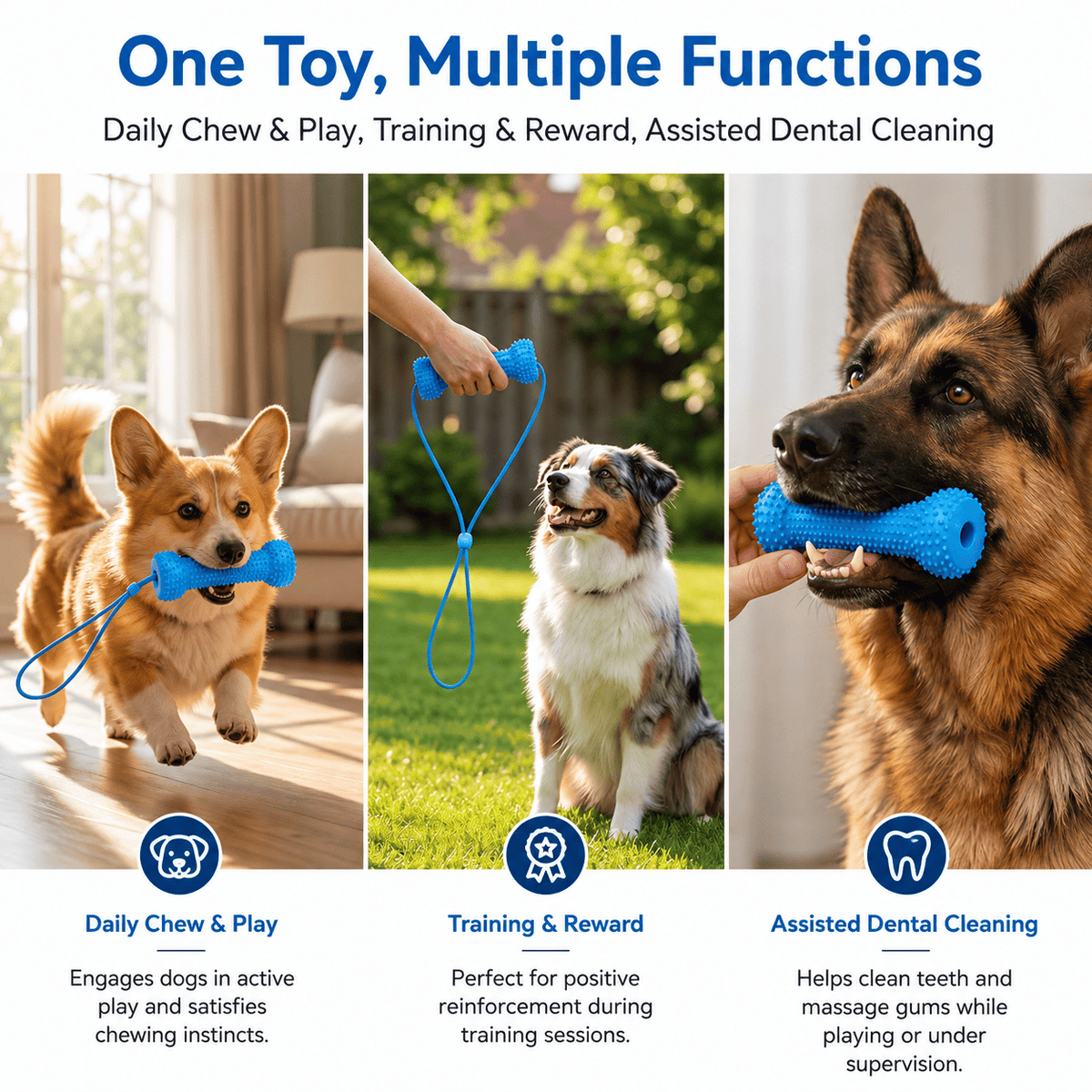 Three ways to use the Noblias dog dental chew toy: daily chew and play, training and reward, and assisted dental cleaning with the rope.