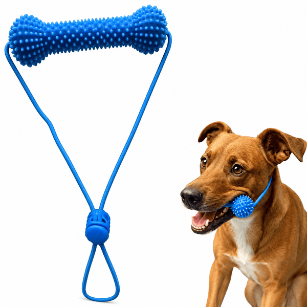 Blue Noblias dog dental chew toy with textured rubber nubs and a rope handle, held in a dog's mouth.