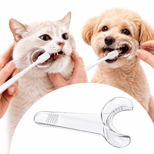 Cat and dog having their teeth brushed with a toothbrush while using the transparent dog dental mouth opener
