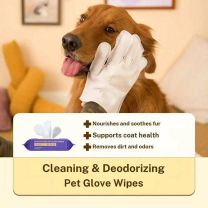 A gloved hand wiping a golden retriever's face with a Noblias grooming glove wipe.