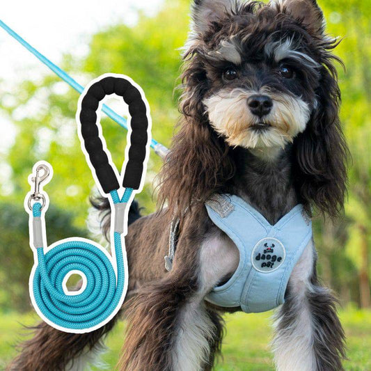 Small dog outdoors in the light blue vest harness with the matching light blue rope leash shown beside it.