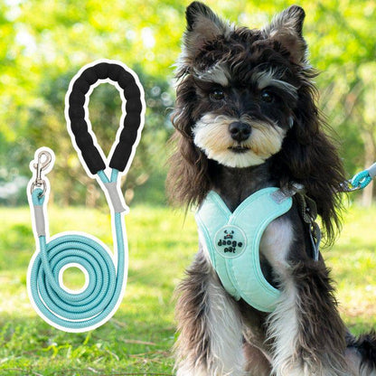 Small dog outdoors in the mint green vest harness with the matching mint rope leash shown beside it.