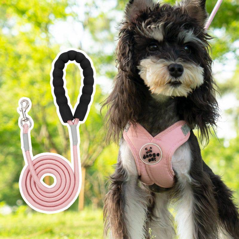 Small dog outdoors in the pink vest harness with the matching pink rope leash shown beside it.