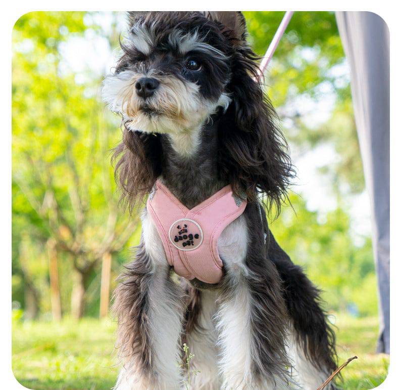 Schnauzer standing on grass wearing the pink vest harness.